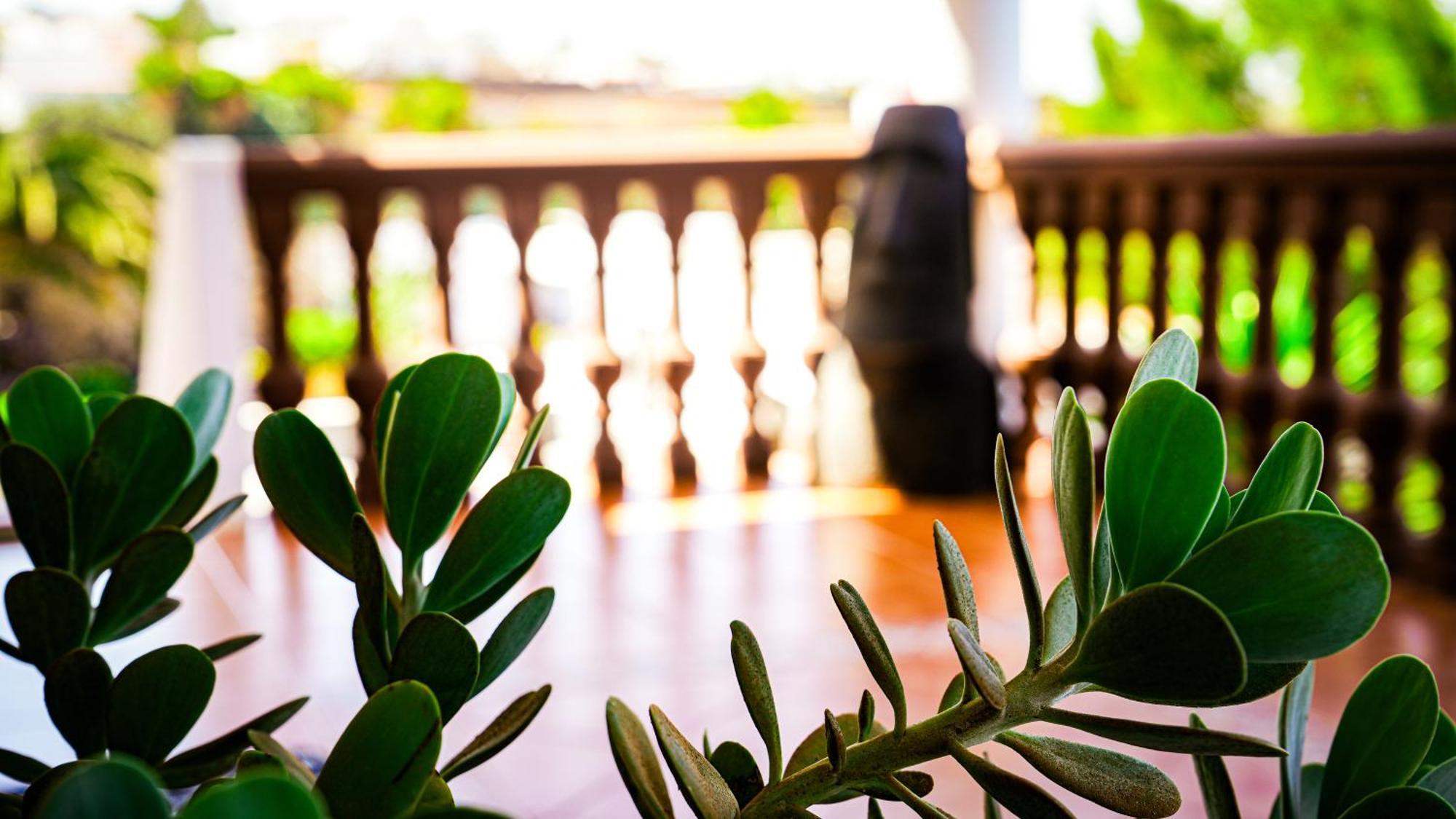Villa Azul Fuerteventura Villaverde  Dış mekan fotoğraf