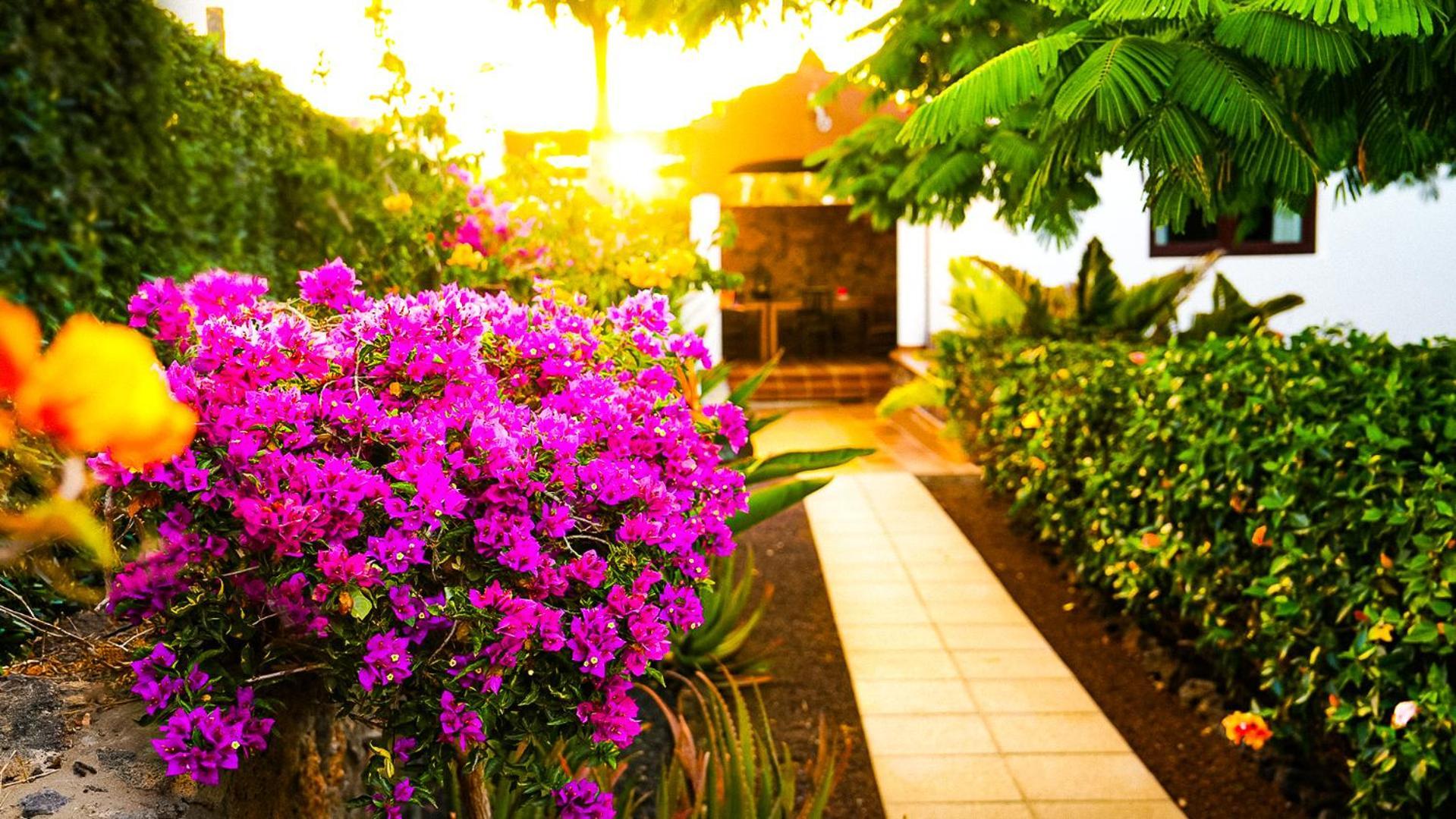 Villa Azul Fuerteventura Villaverde  Dış mekan fotoğraf