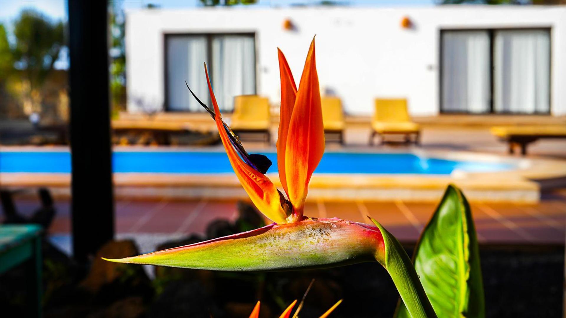 Villa Azul Fuerteventura Villaverde  Dış mekan fotoğraf